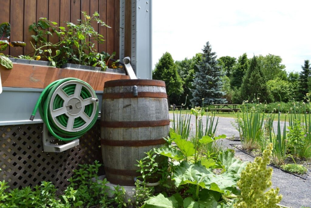 Rainwater Harvesting