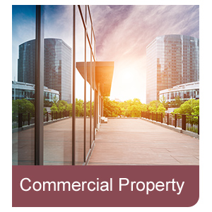 Commercial Property 