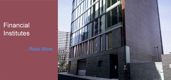 Financial Institutes